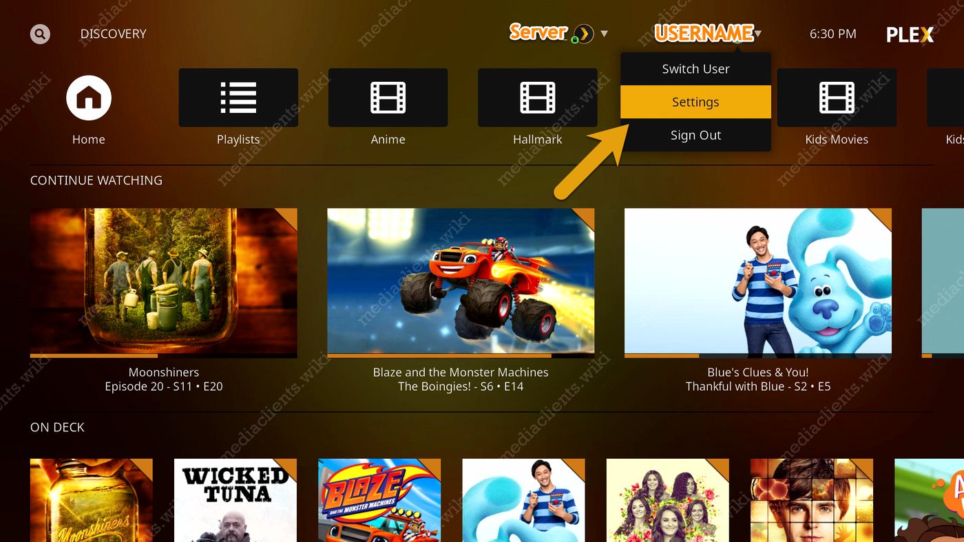 Kodi Plex settings menu