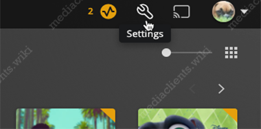 Plex web settings icon