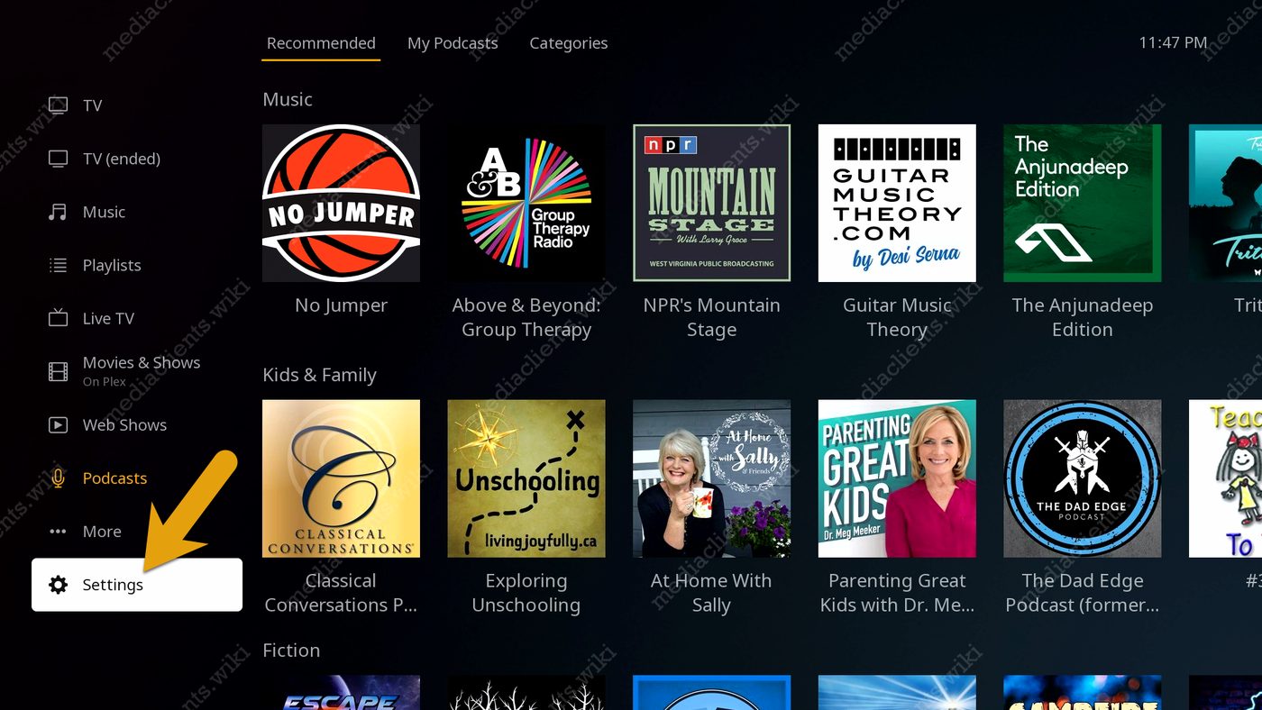 Plex settings menu on Roku