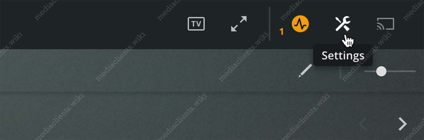 Plex desktop app settings icon